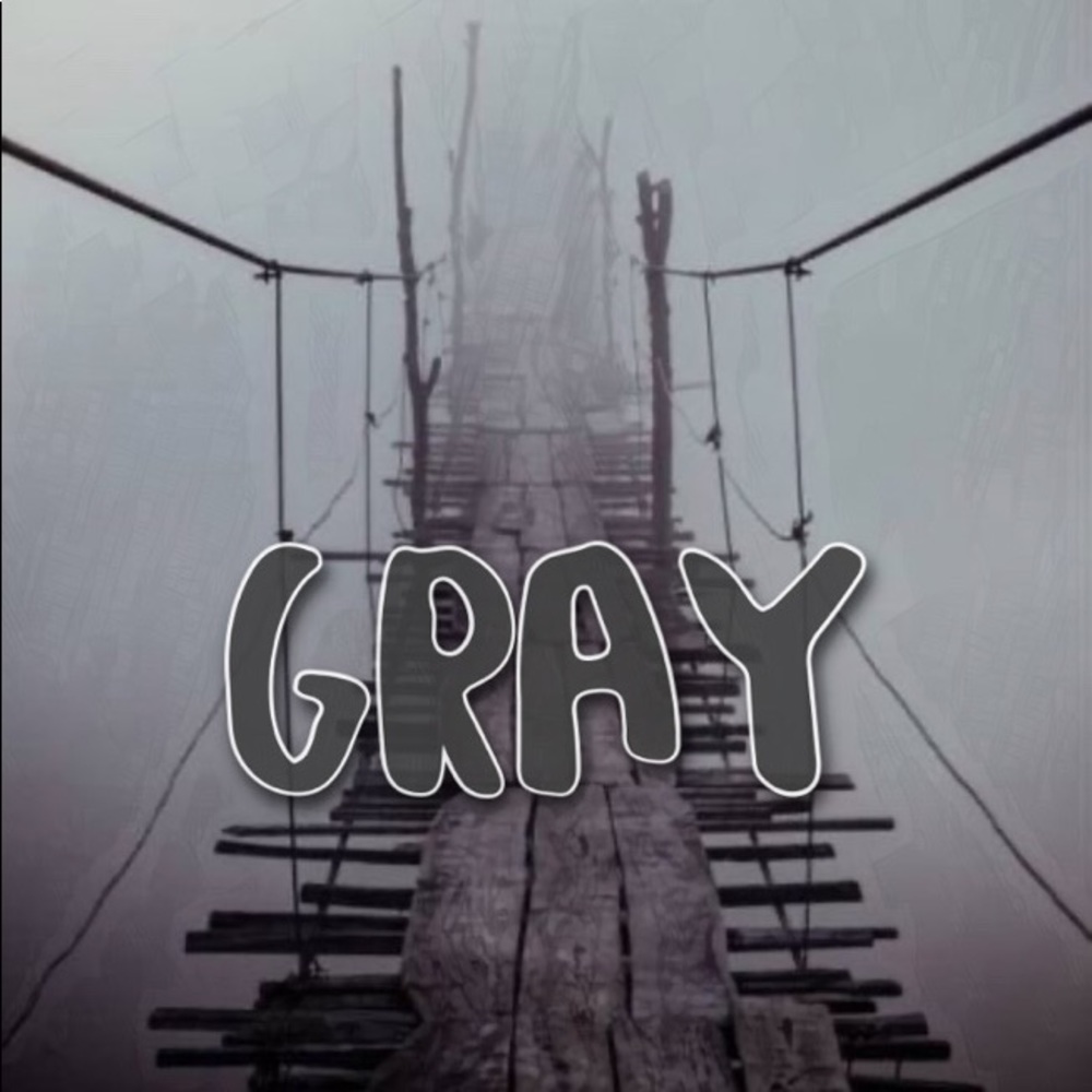 GRAY - Picture 3 of 3